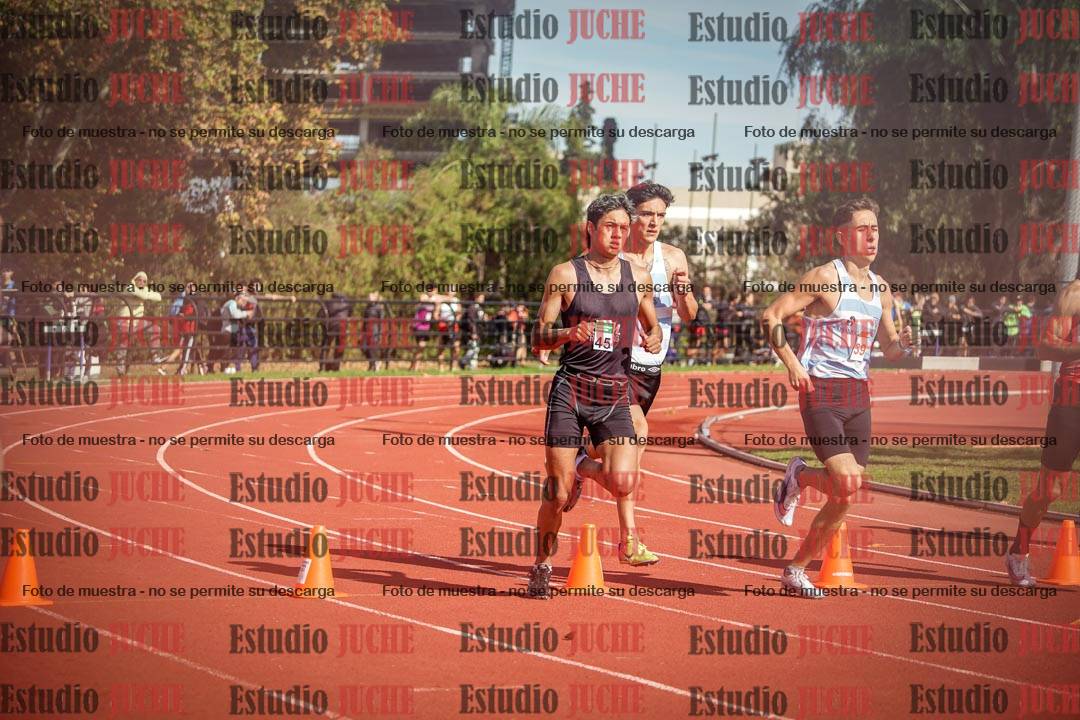 Fotos de los 800 m llanos de varones