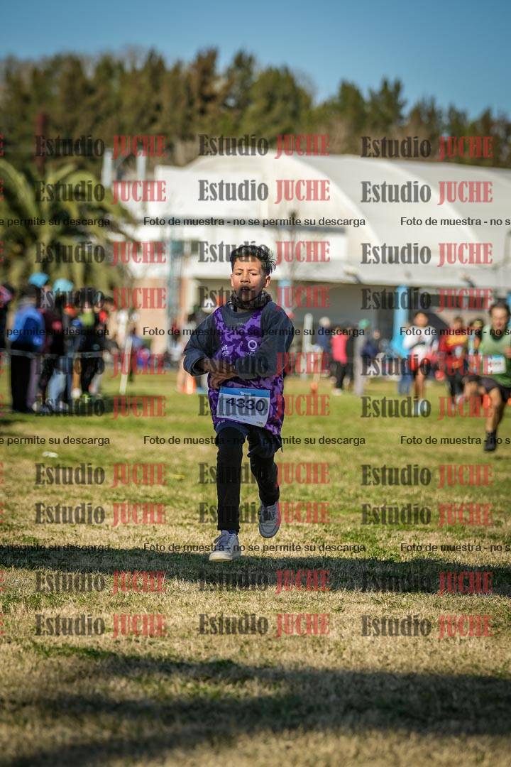 Fotos de las llegadas