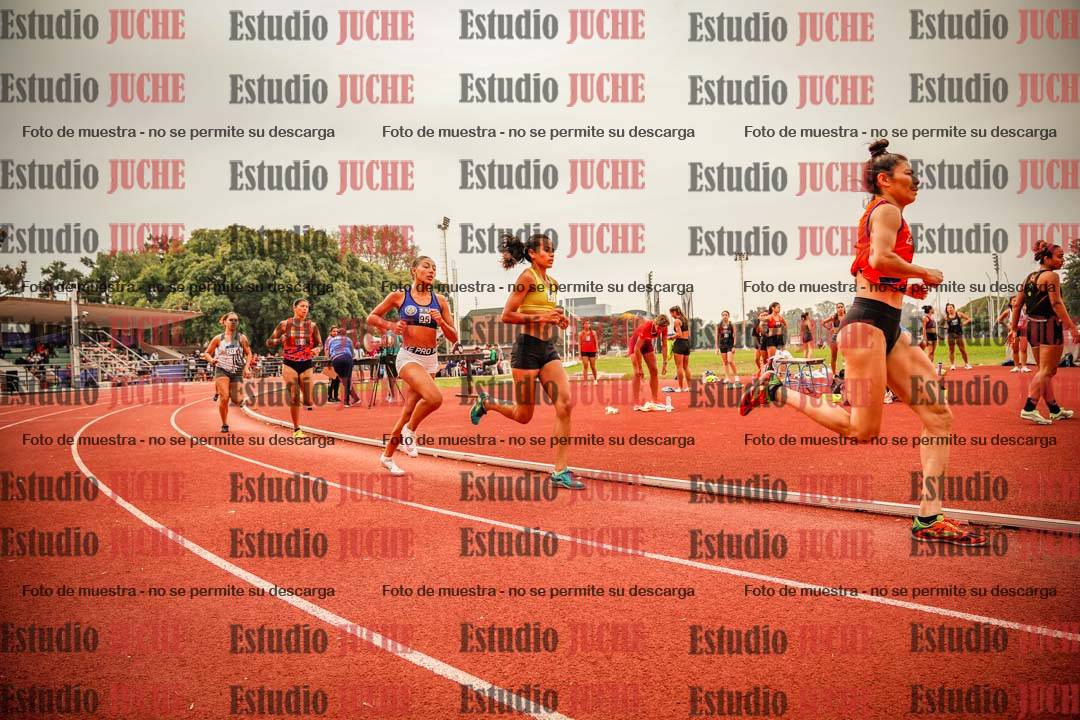 Fotos de los 800 m llanos de mujeres