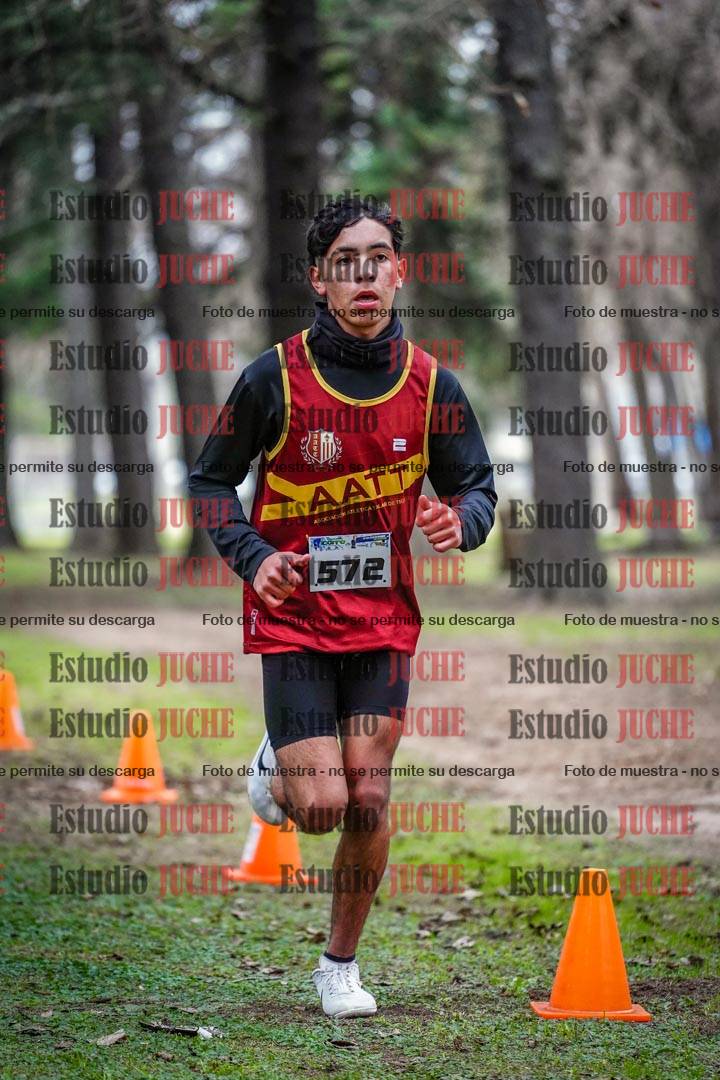 Fotos en el circuito