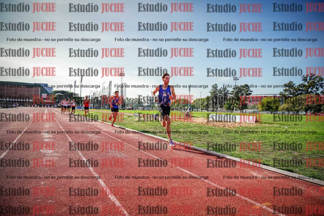 Fotos de los 800 m llanos de varones