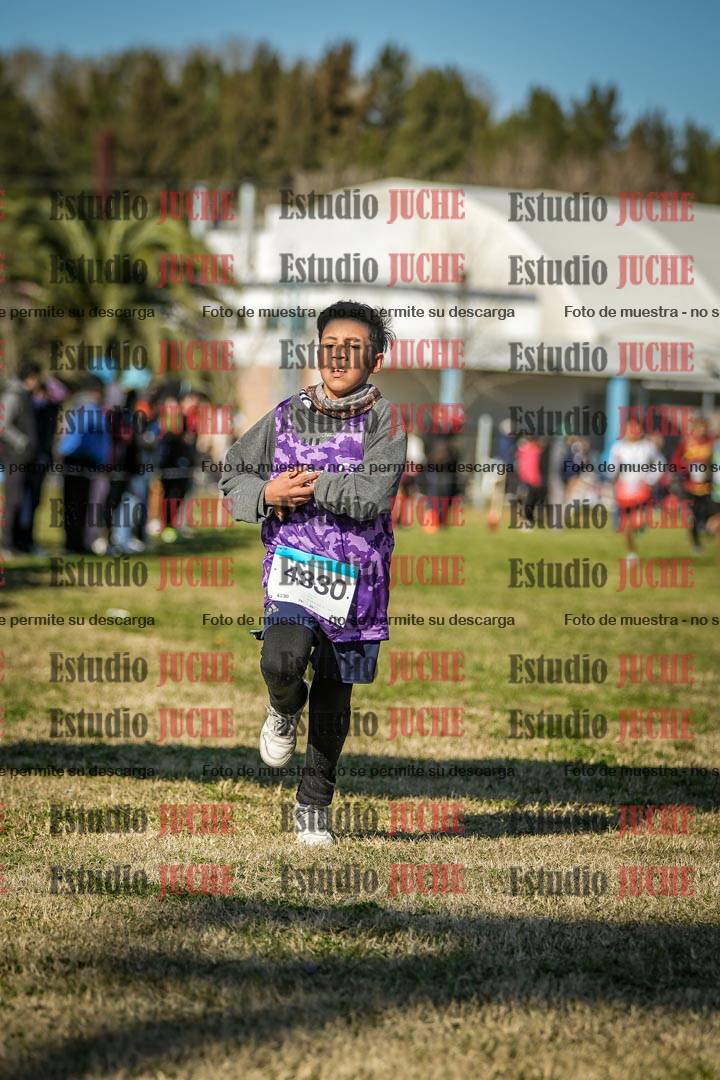 Fotos de las llegadas