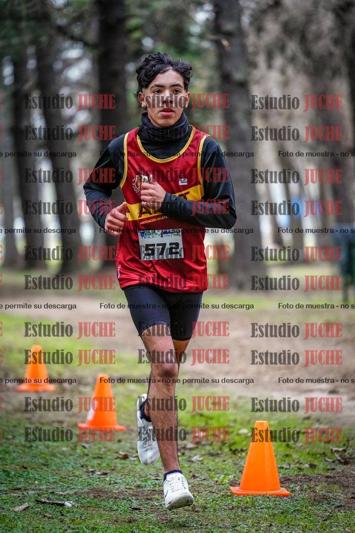 Fotos en el circuito
