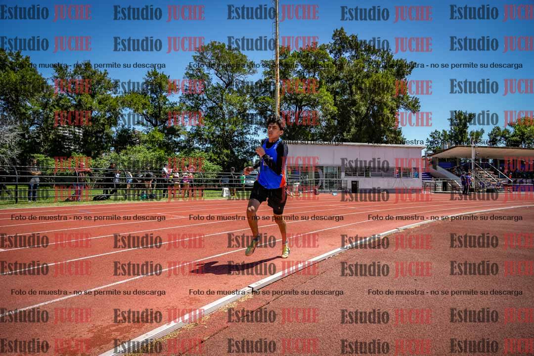 Fotos de los 800 m llanos de varones
