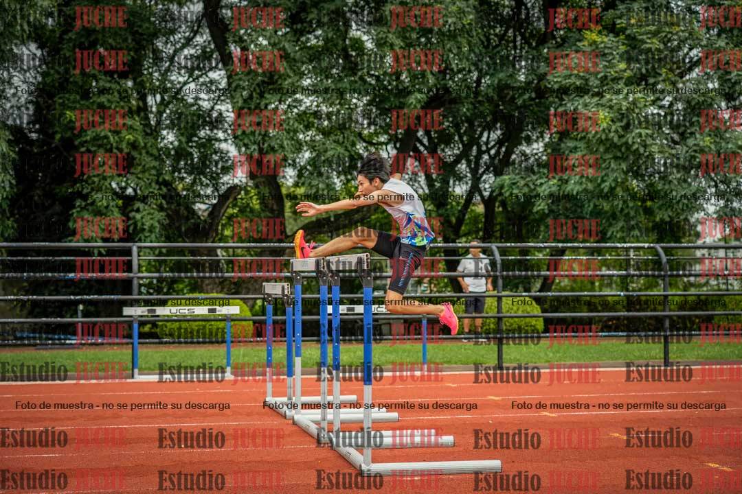 Fotos de los 110 m con vallas de varones