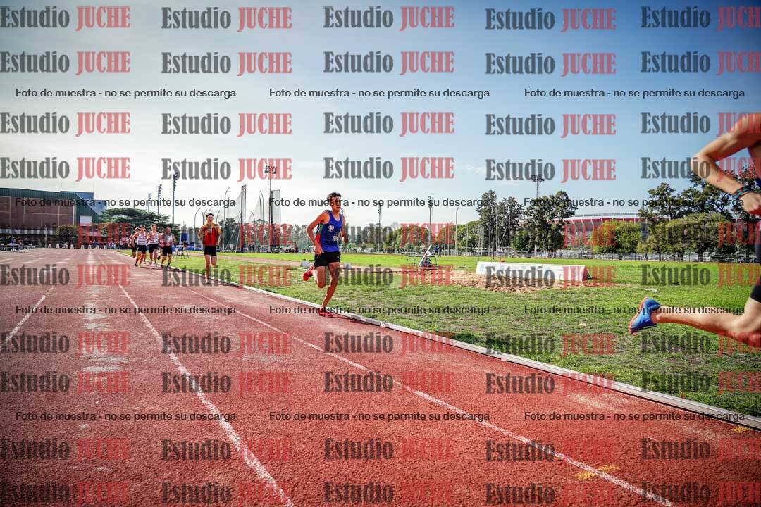 Fotos de los 800 m llanos de varones