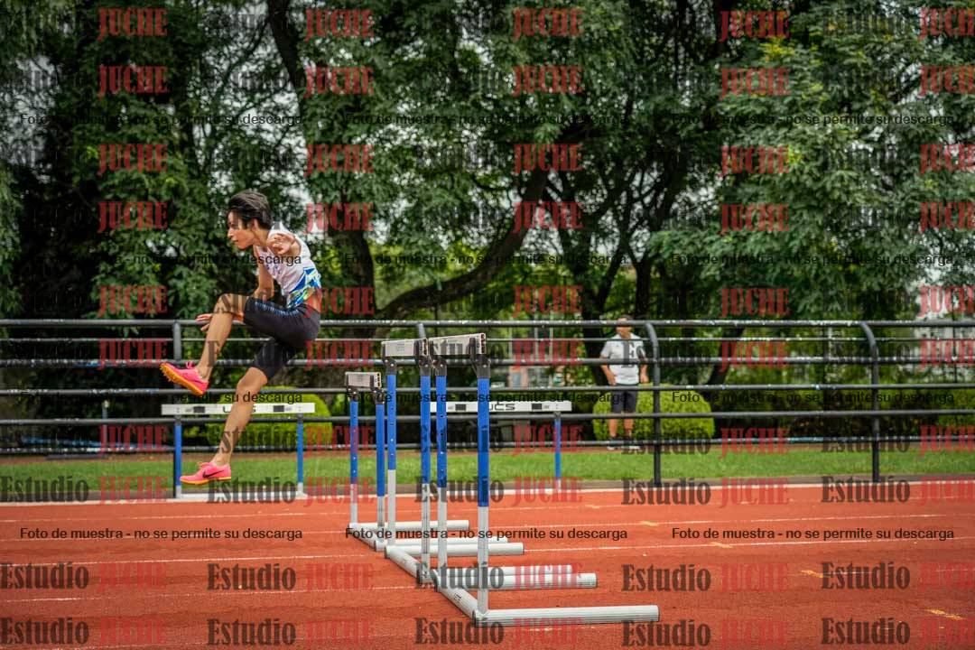 Fotos de los 110 m con vallas de varones