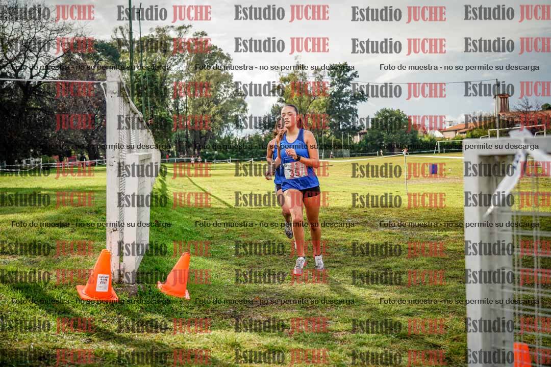 Fotos en el circuito