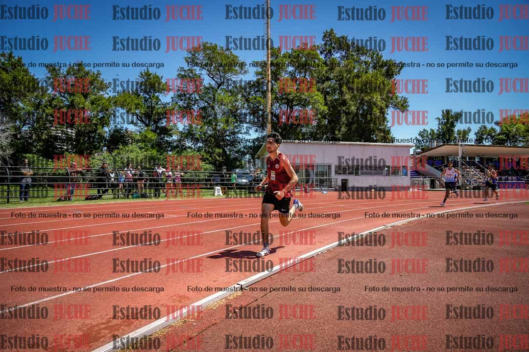 Fotos de los 800 m llanos de varones
