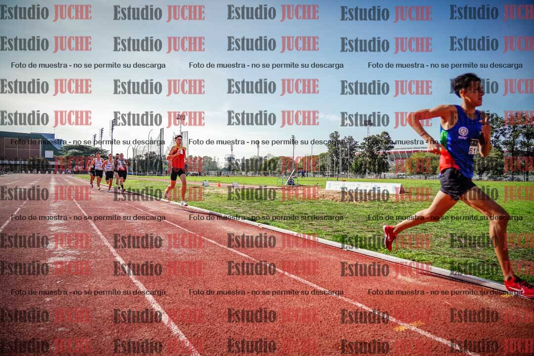 Fotos de los 800 m llanos de varones