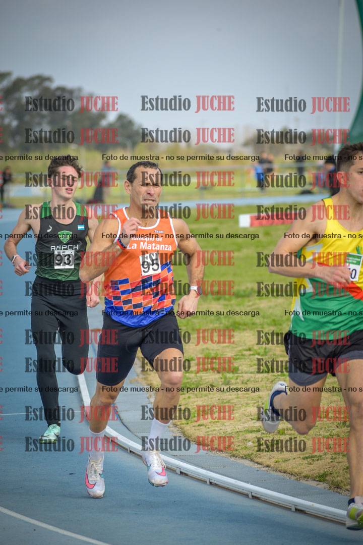 Fotos de los 800 m llanos de varones