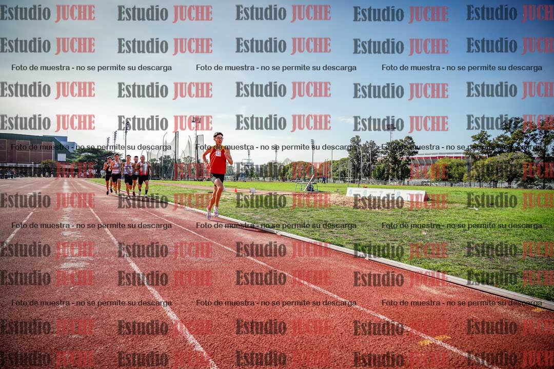 Fotos de los 800 m llanos de varones