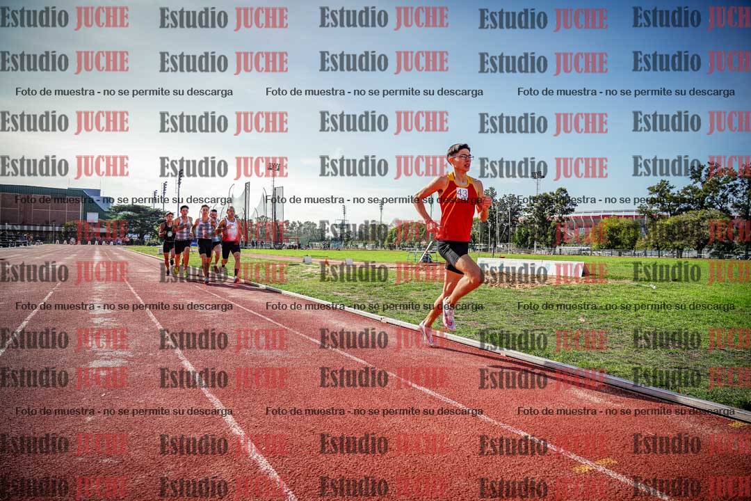 Fotos de los 800 m llanos de varones