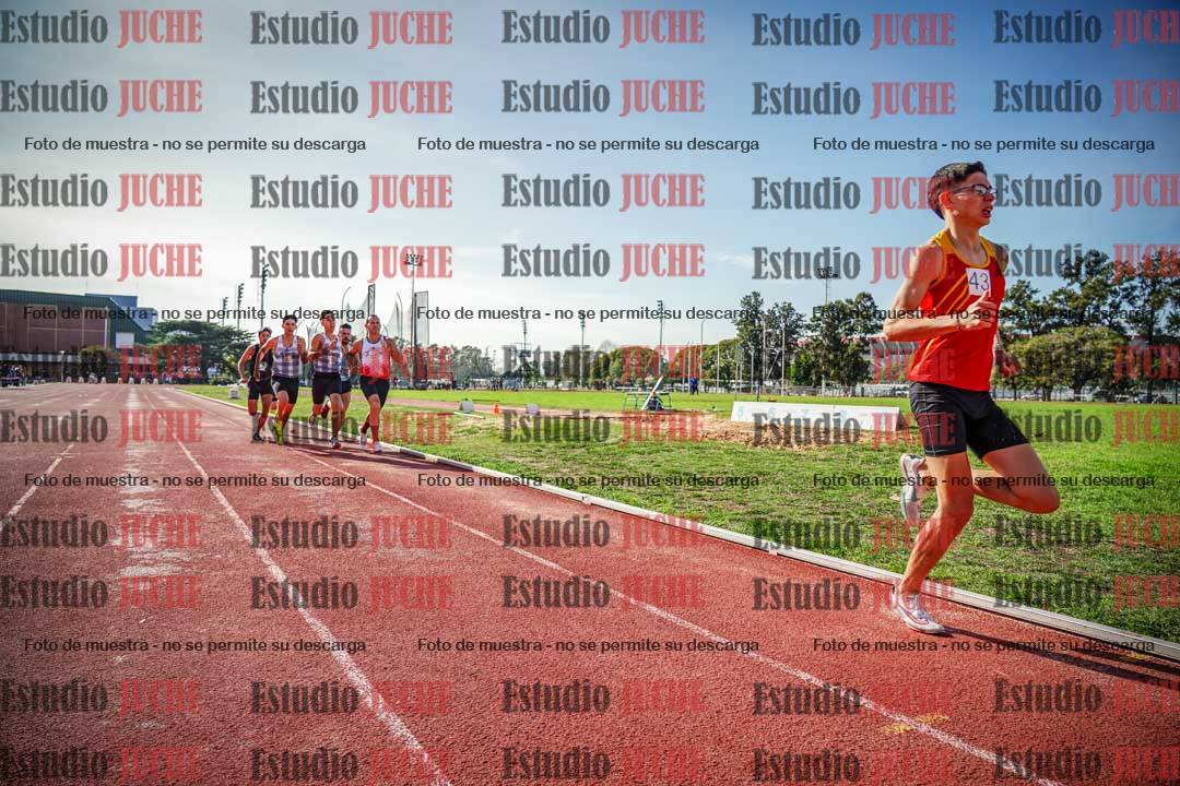 Fotos de los 800 m llanos de varones
