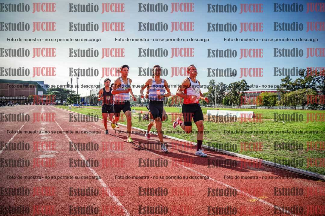 Fotos de los 800 m llanos de varones