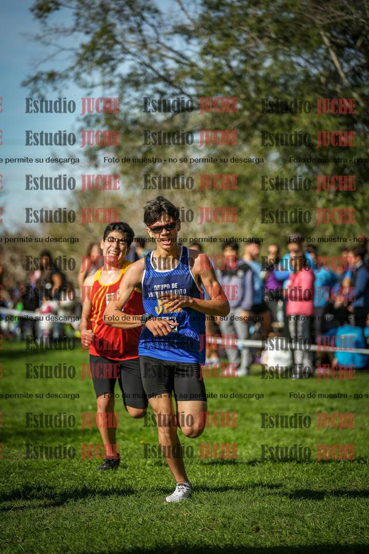 Fotos de la llegada del cross de 3000 m