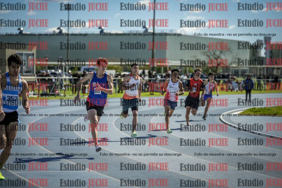 Fotos de los 800 m llanos de varones