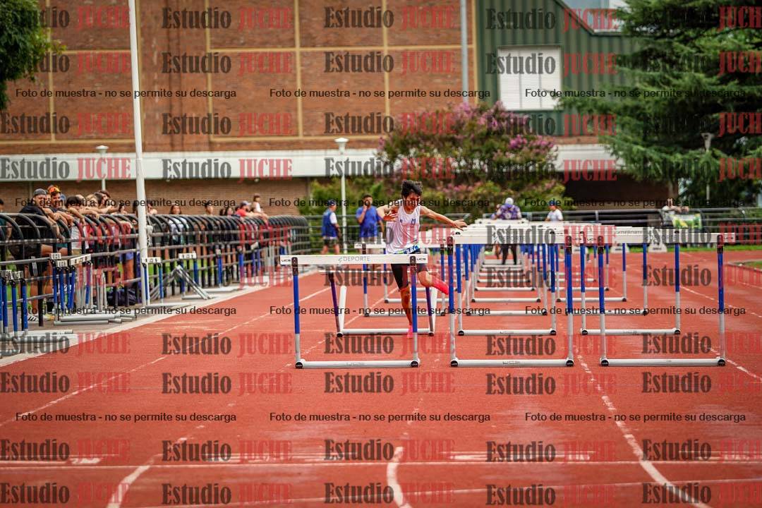 Fotos de los 110 m con vallas de varones