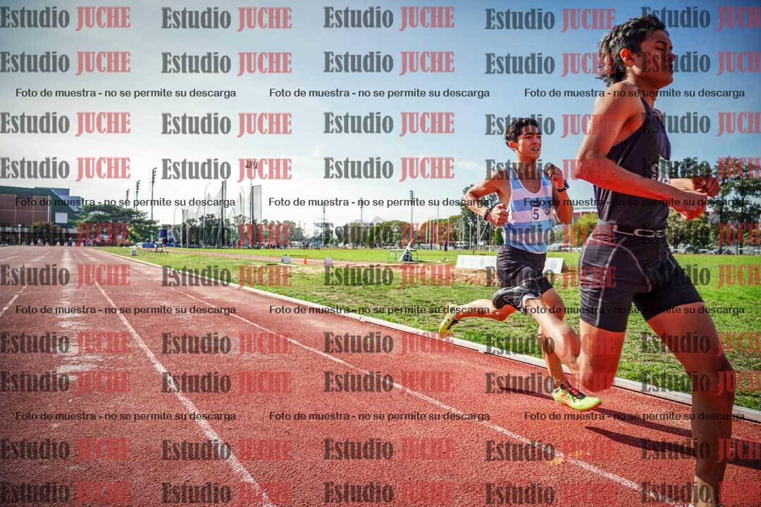 Fotos de los 800 m llanos de varones