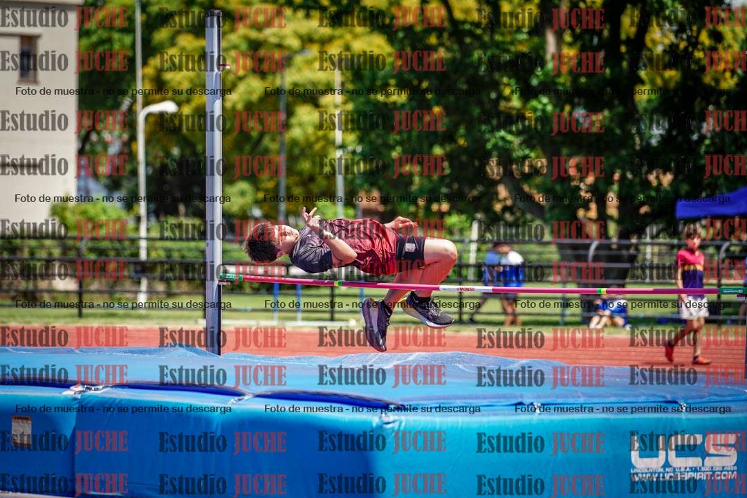Fotos del salto en alto de varones