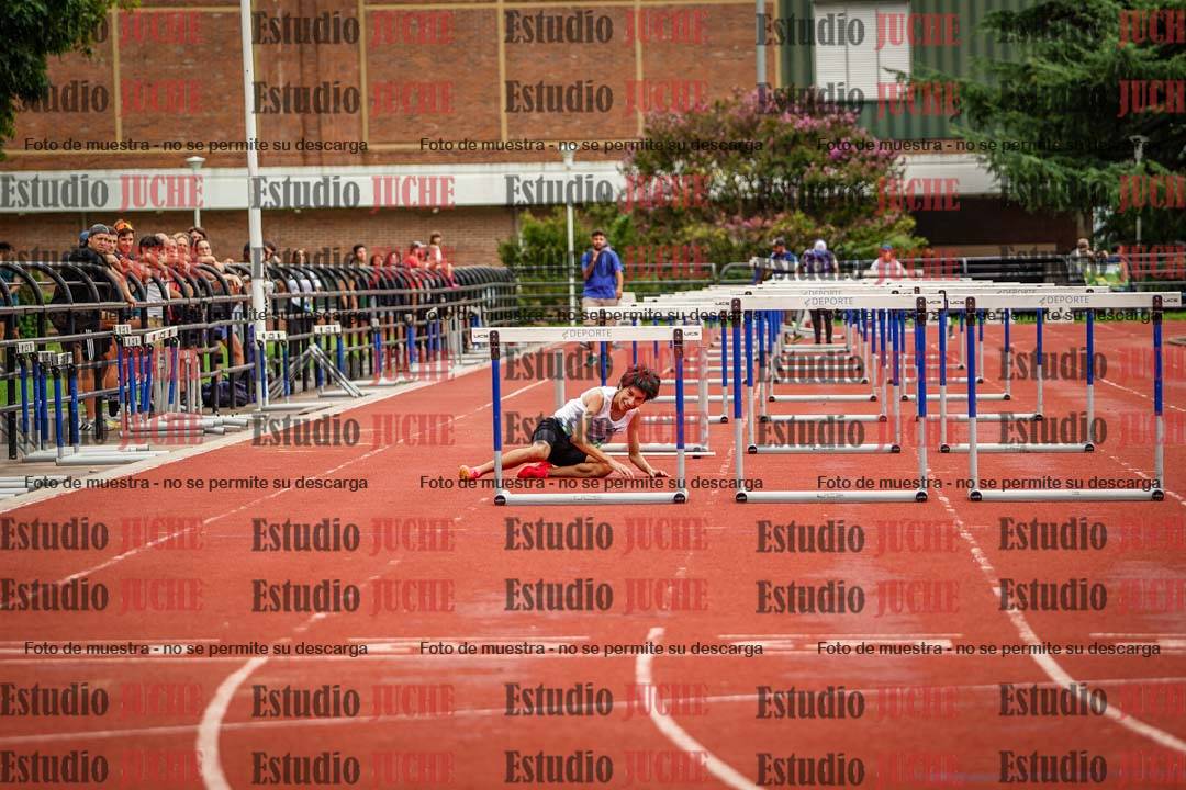 Fotos de los 110 m con vallas de varones