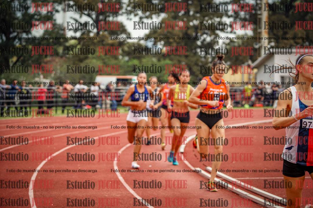 Fotos de los 800 m llanos de mujeres