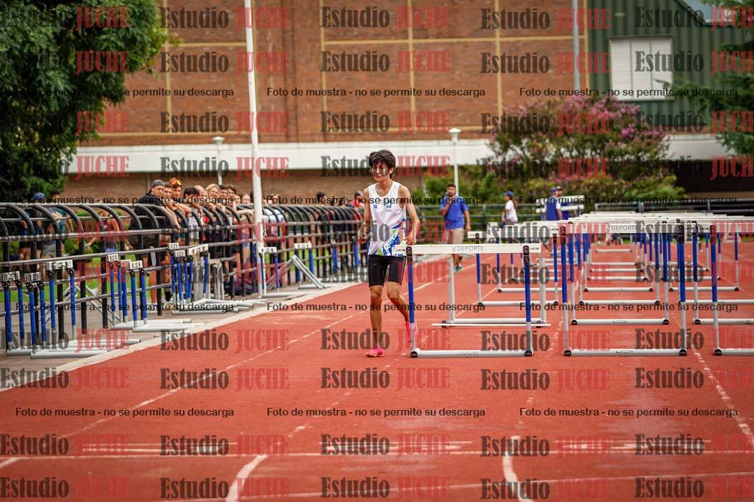Fotos de los 110 m con vallas de varones