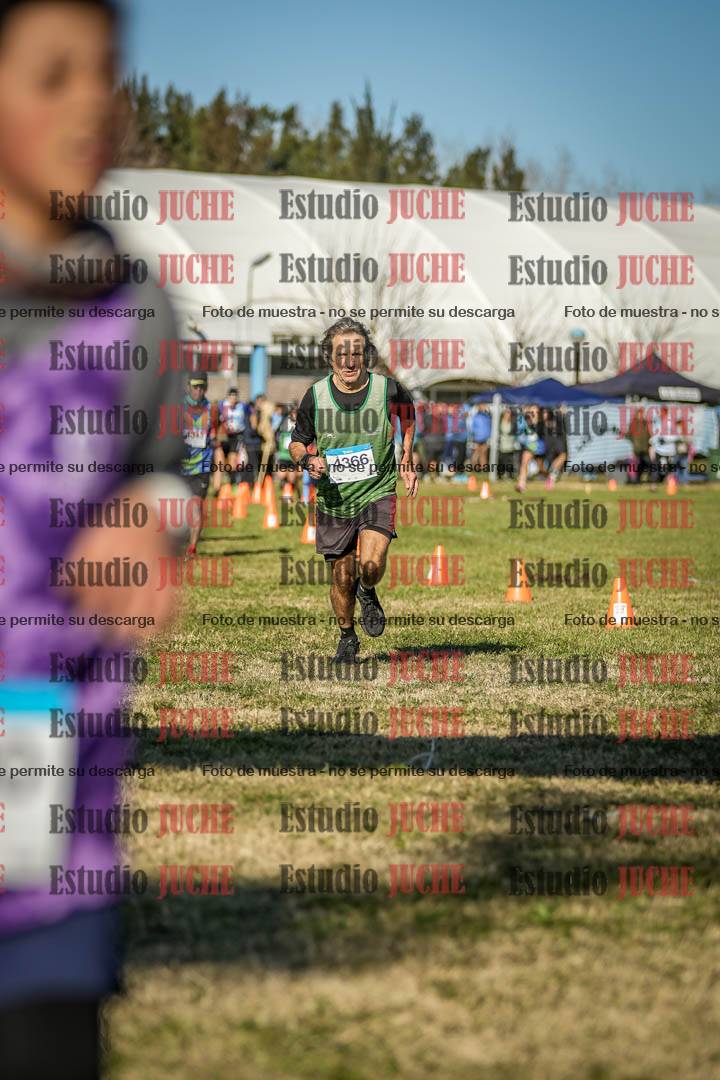 Fotos de las llegadas