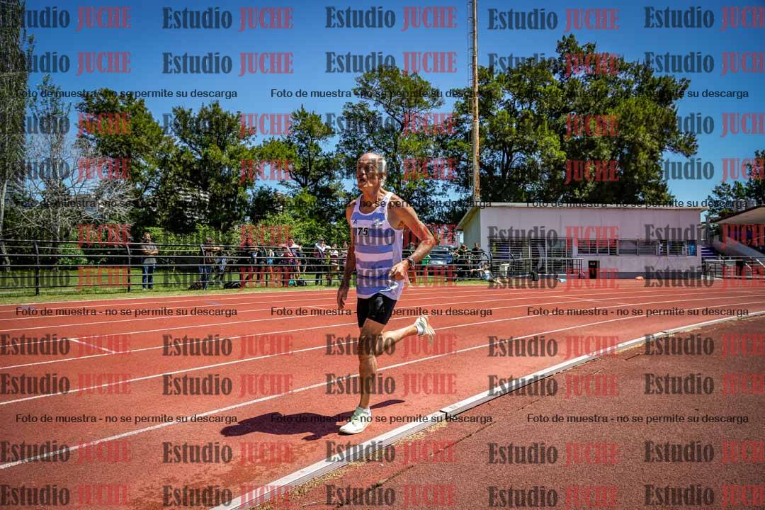 Fotos de los 800 m llanos de varones