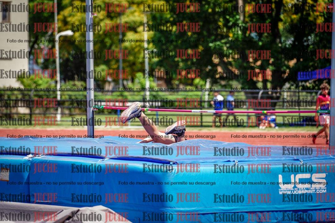Fotos del salto en alto de varones