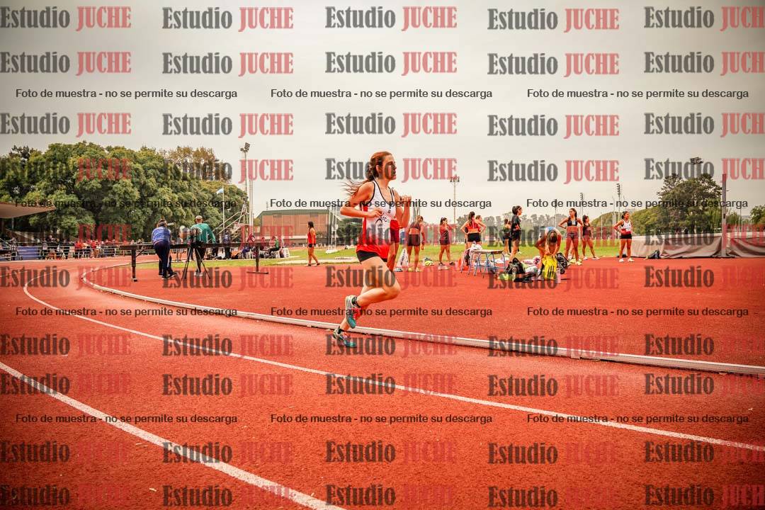 Fotos de los 800 m llanos de mujeres