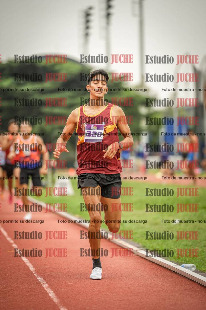 Fotos de los 800 m llanos de varones