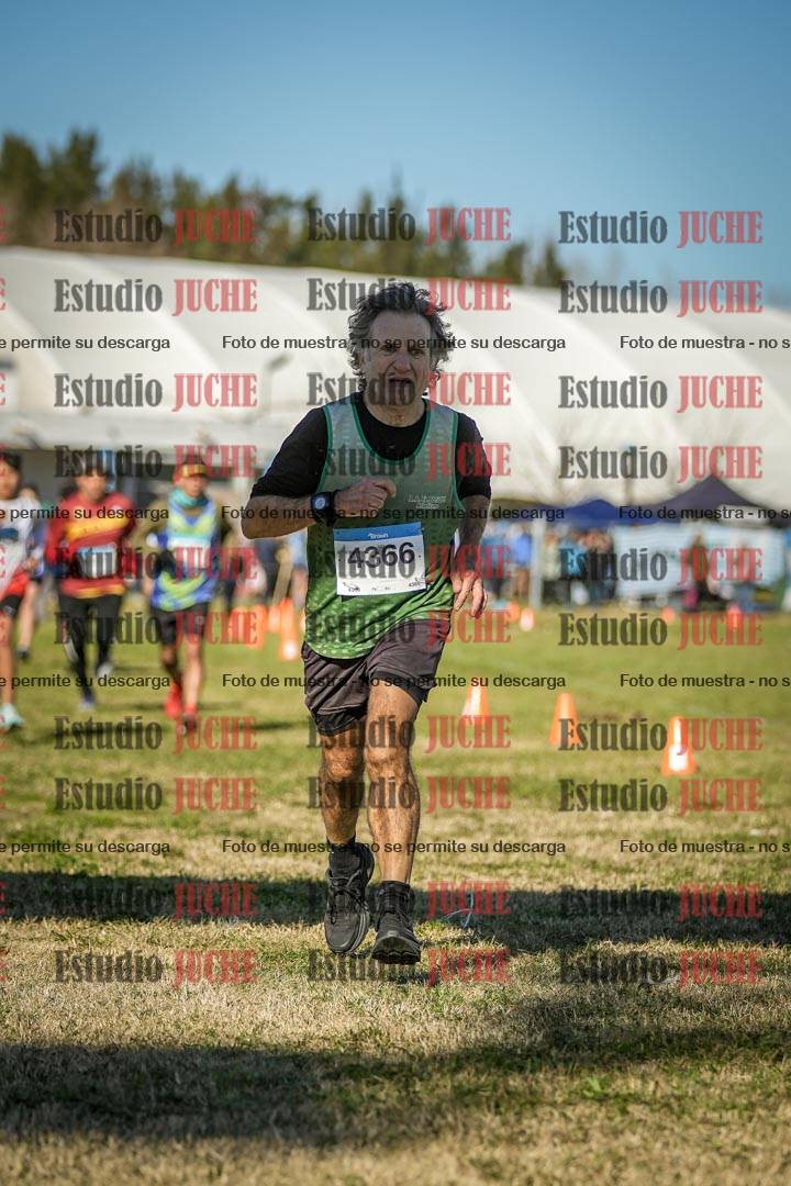 Fotos de las llegadas