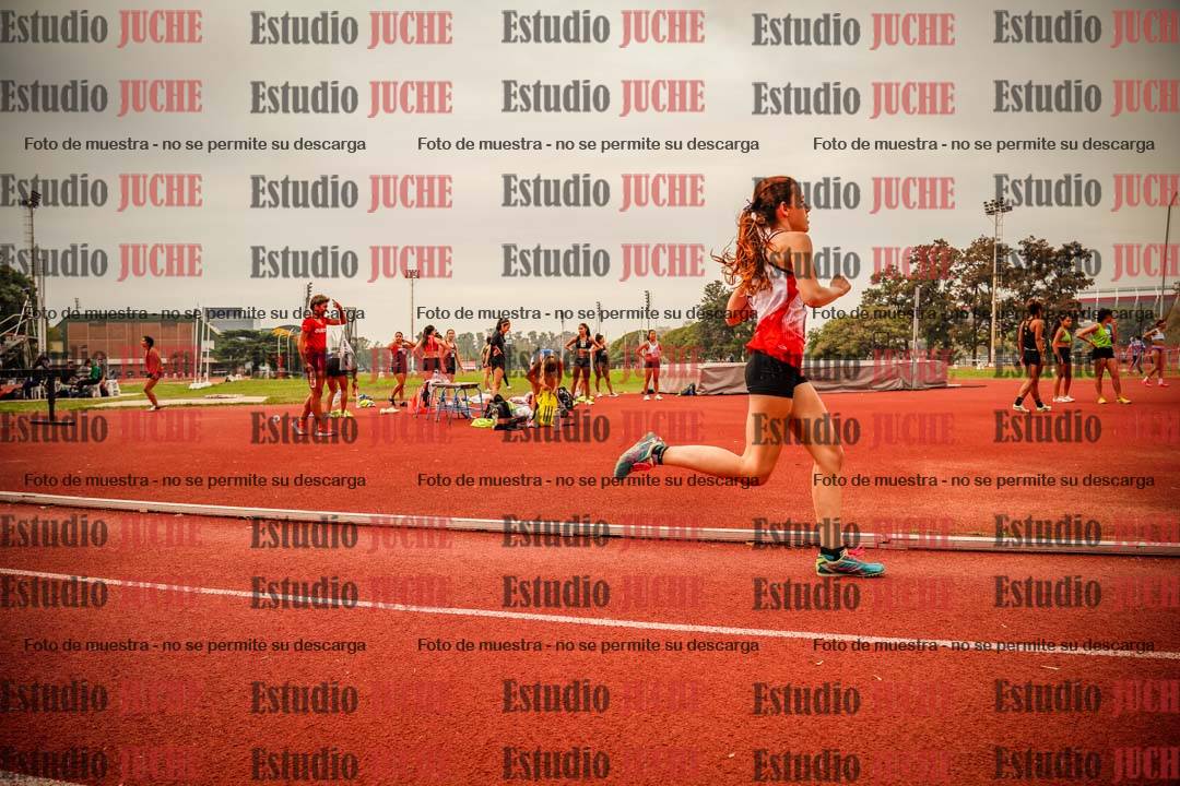 Fotos de los 800 m llanos de mujeres