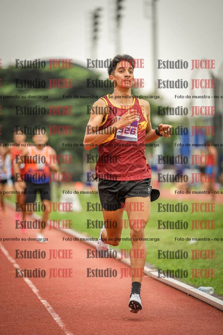 Fotos de los 800 m llanos de varones