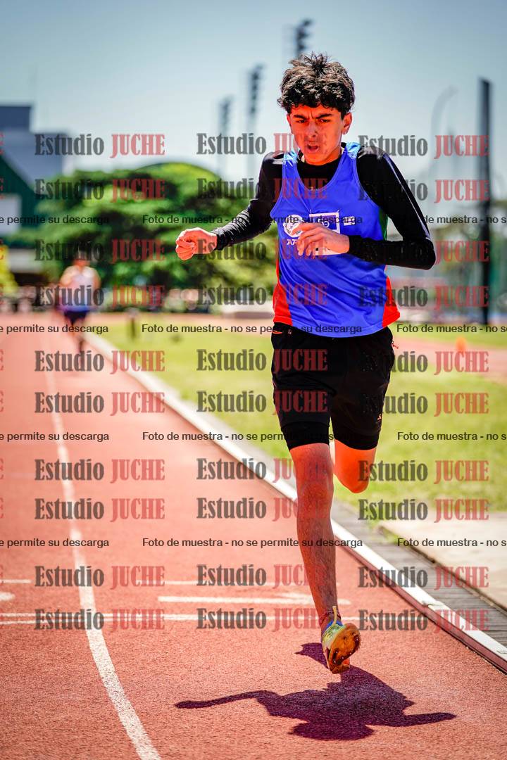 Fotos de los 800 m llanos de varones