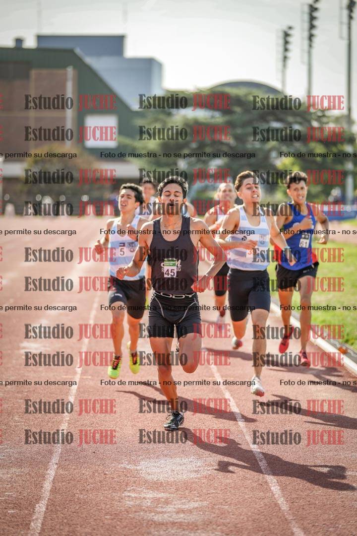 Fotos de los 800 m llanos de varones