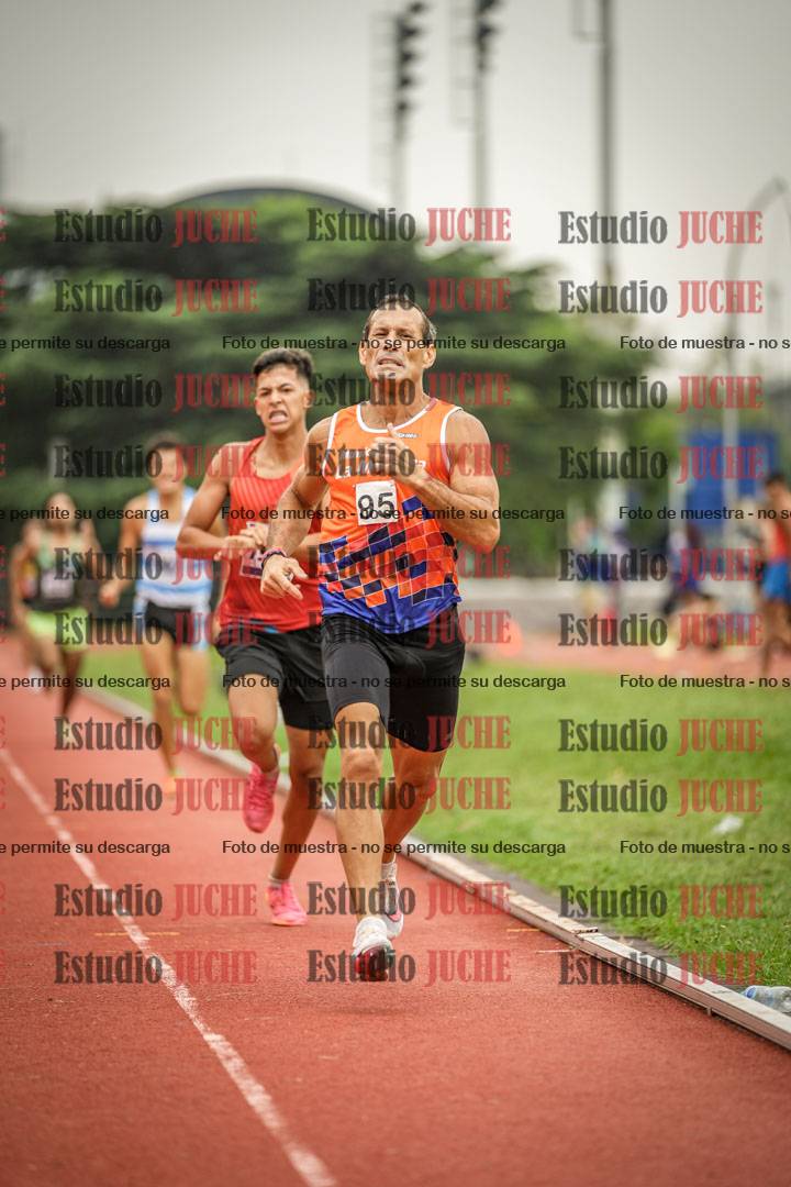 Fotos de los 800 m llanos de varones
