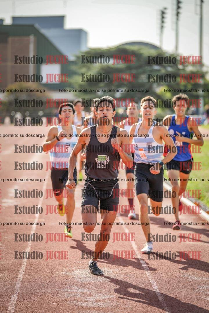 Fotos de los 800 m llanos de varones