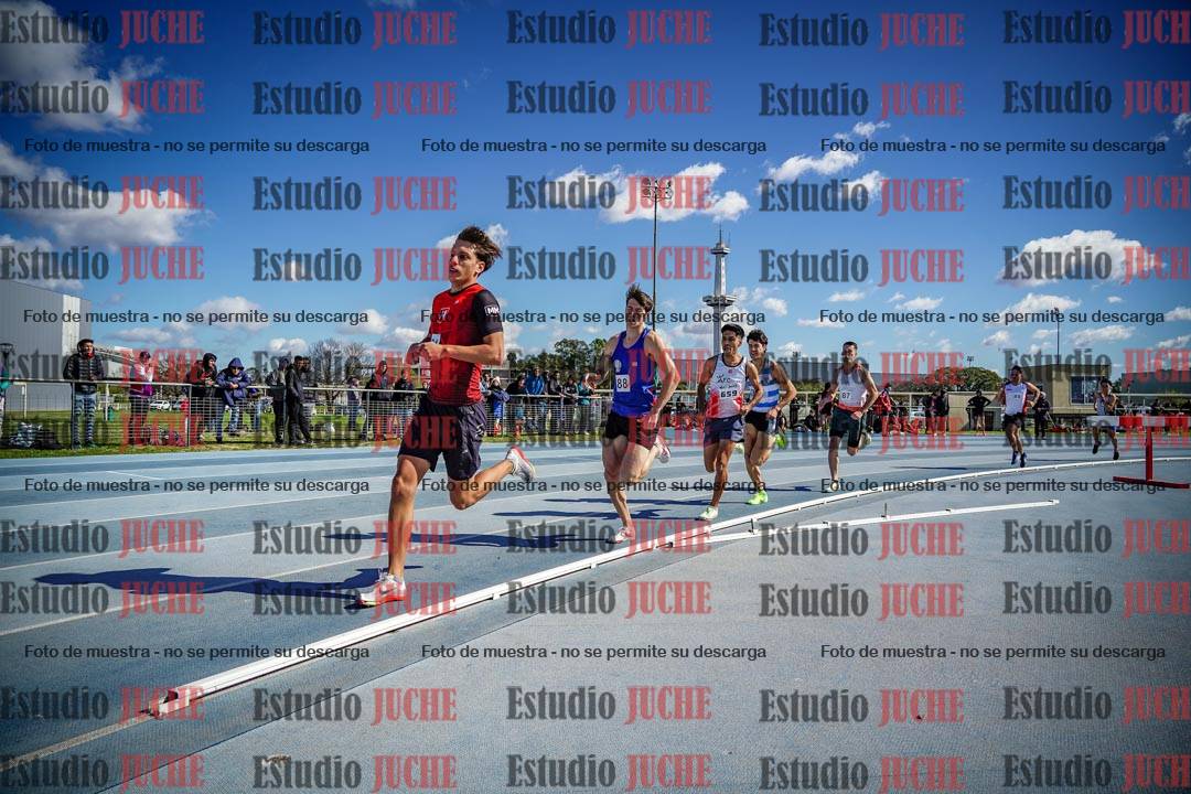 Fotos de los 800 m llanos de varones