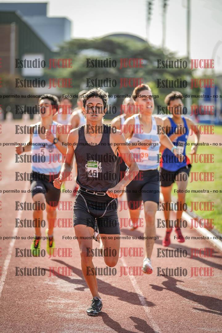 Fotos de los 800 m llanos de varones