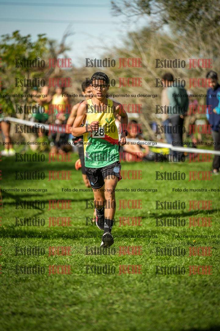 Fotos de la llegada del cross de 3000 m