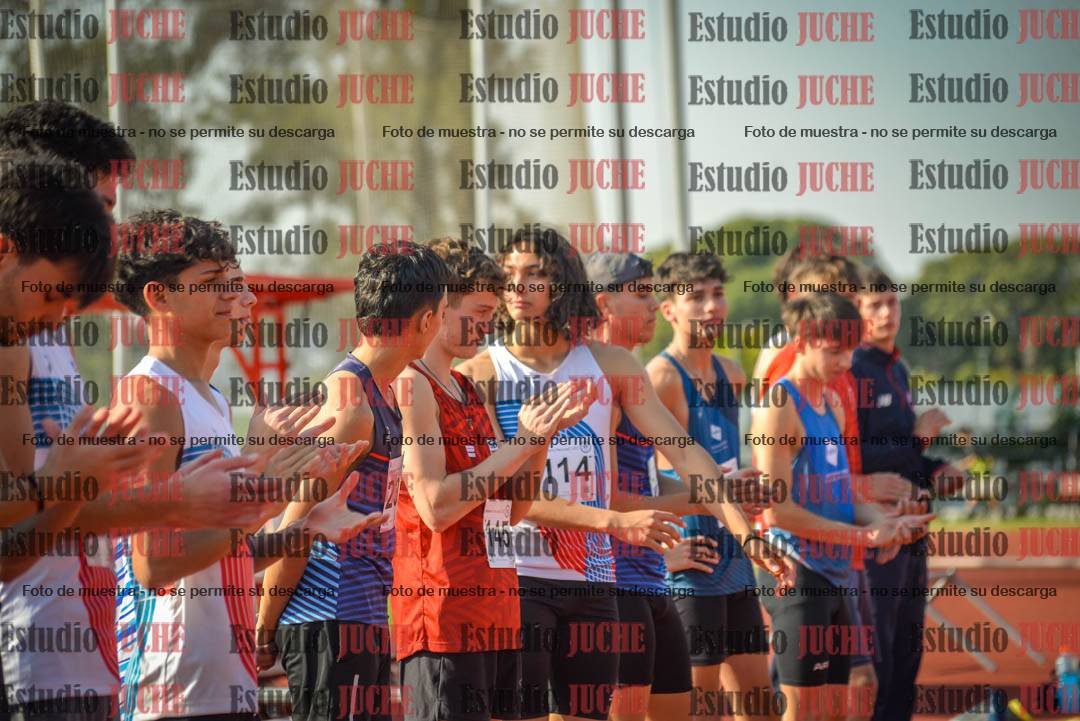 Fotos del salto en alto de varones