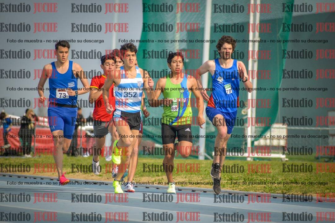 Fotos de los 800 m llanos de varones