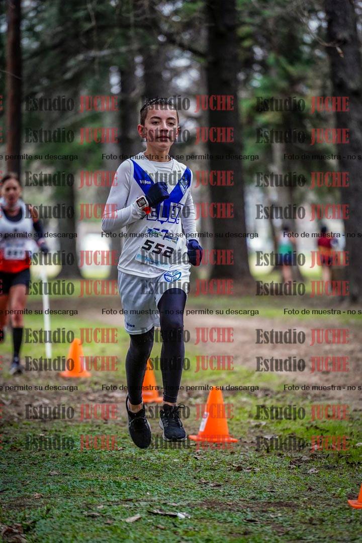 Fotos en el circuito