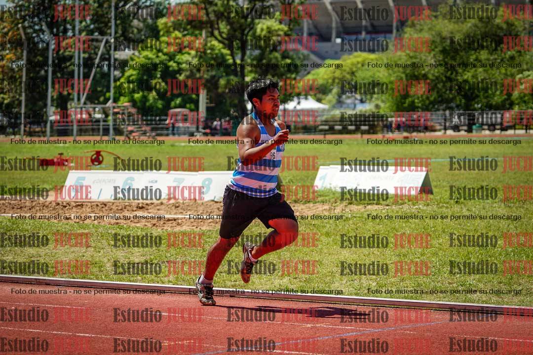 Fotos de los 800 m llanos de varones