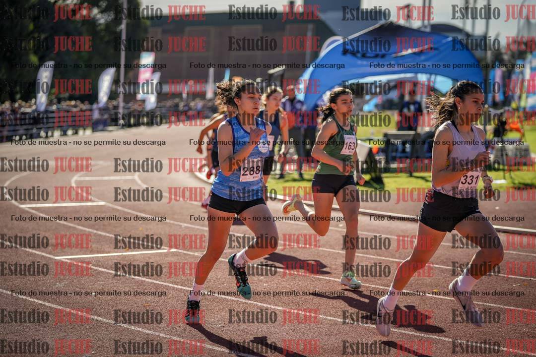 Fotos de los 800 m llanos de mujeres