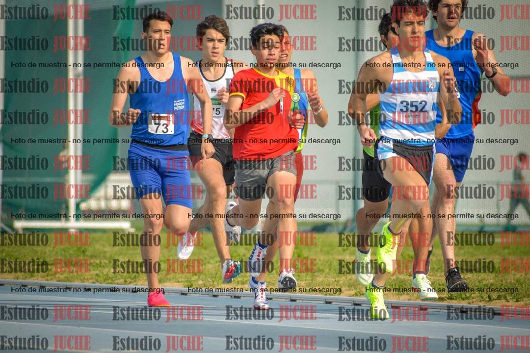 Fotos de los 800 m llanos de varones