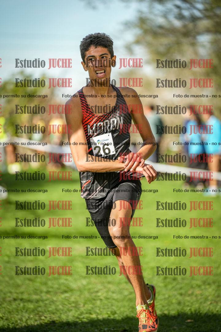 Fotos de la llegada del cross de 3000 m