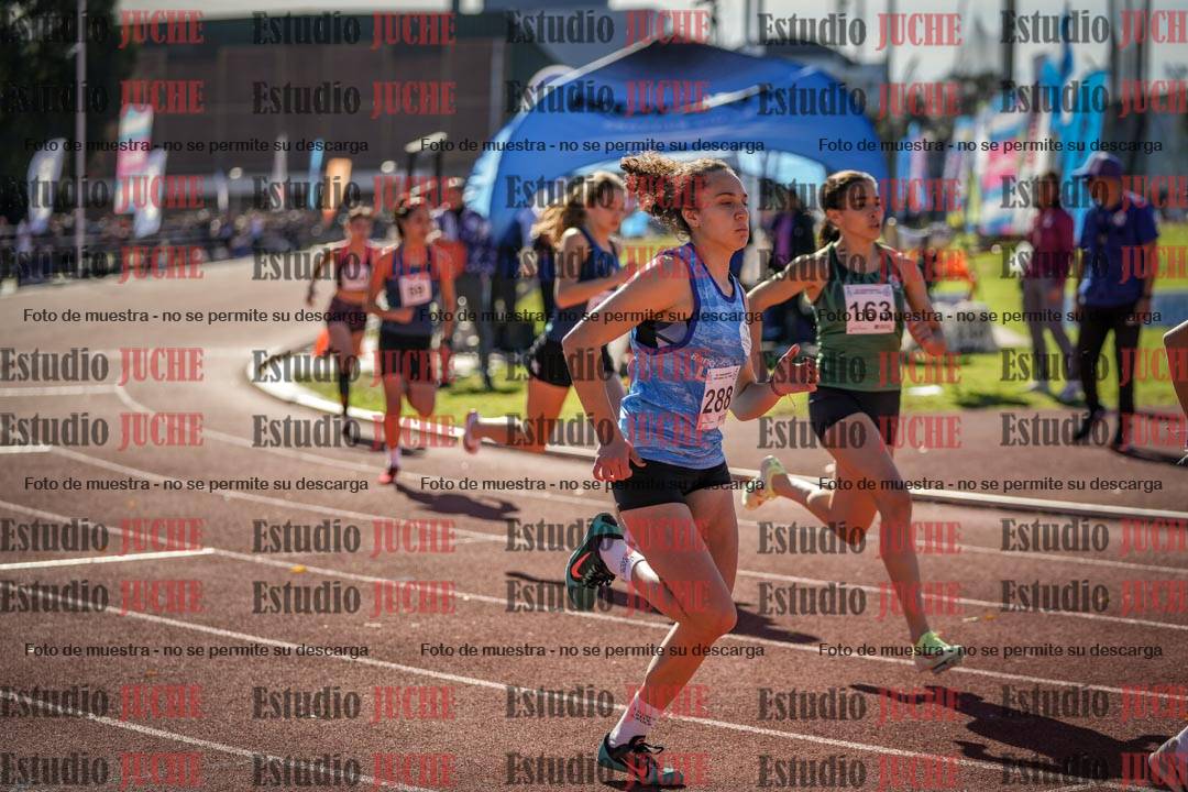 Fotos de los 800 m llanos de mujeres